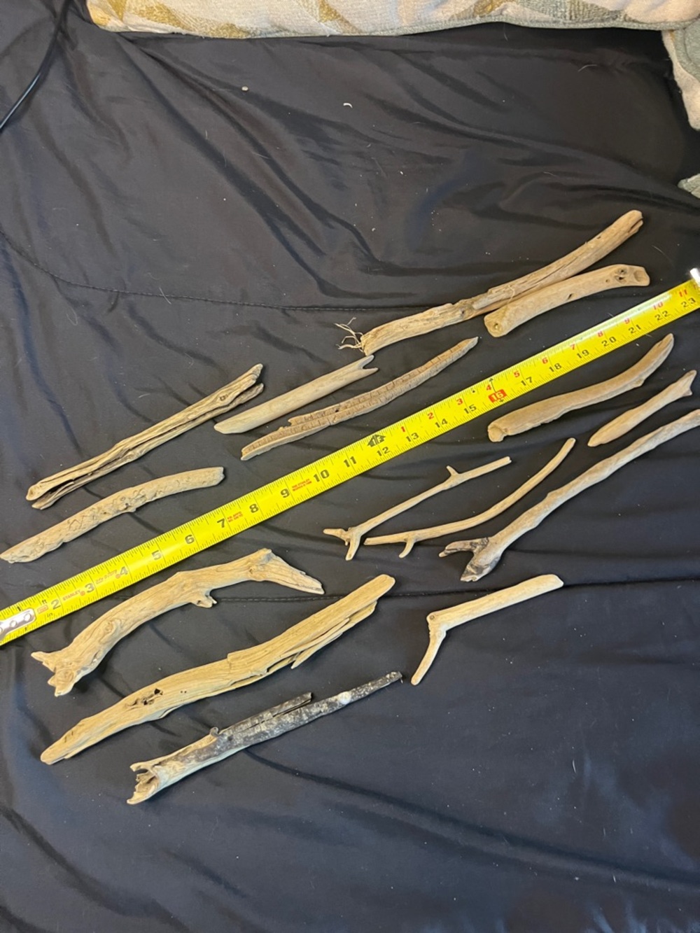 Driftwood Terrarium Branches - Natural Light Brown Sticks for Reptiles